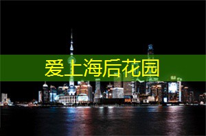 上海龙凤419：上海工作室为何成为年轻人的必争之地？独家调查揭晓！