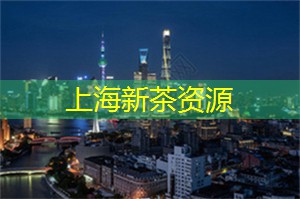 爱上海419：风光无限的夜游线路精选
