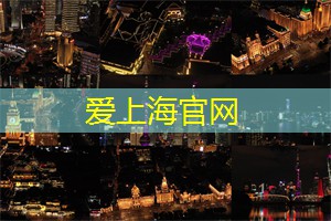上海龙凤419：借力数字艺术：上海的未来展望